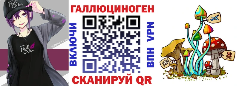 где купить наркоту  Новотроицк  Галлюциногенные грибы Cubensis 