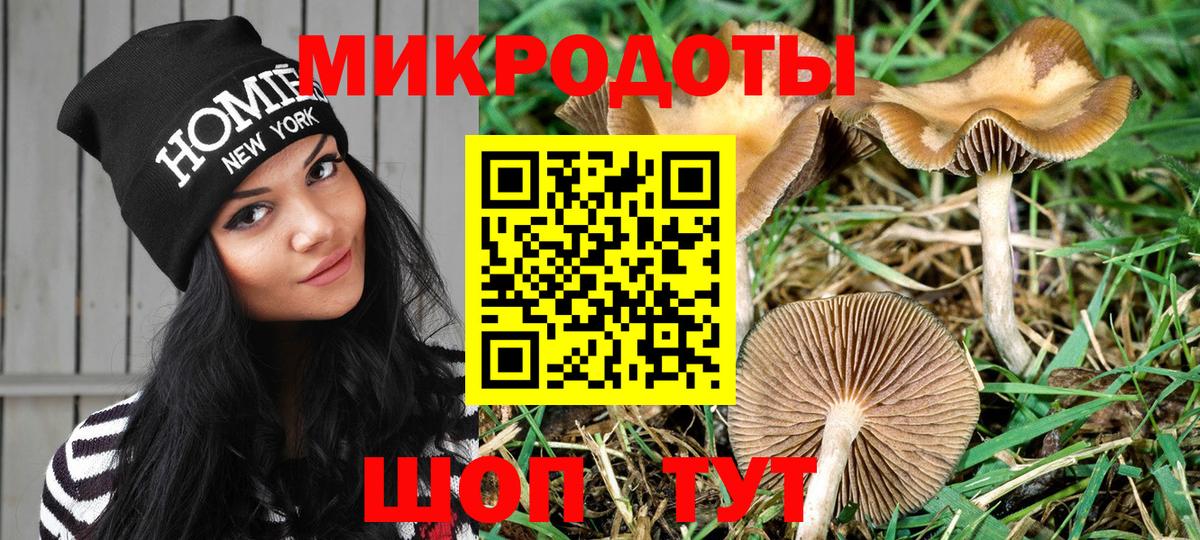 Псилоцибиновые грибы GOLDEN TEACHER Новотроицк